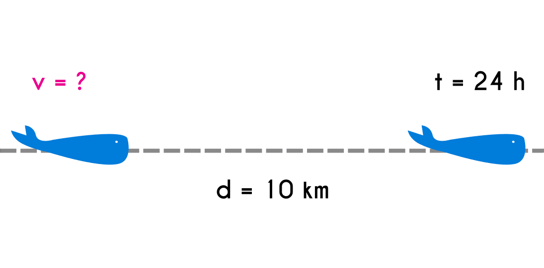 Example 4 of constant velocity motion